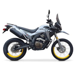 DS250 ABS